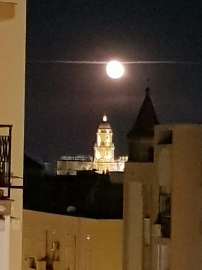 Apartamento Con Vistas A La Catedral A 15 Minutos Del Centro Málaga Eksteriør billede